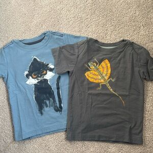 (2) EUC Tea Collection t-shirts, 4T